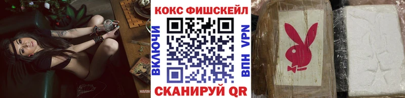 COCAIN FishScale  Купить где  Иваново 