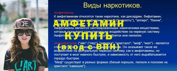 ГАЛЛЮЦИНОГЕННЫЕ ГРИБЫ Алексин